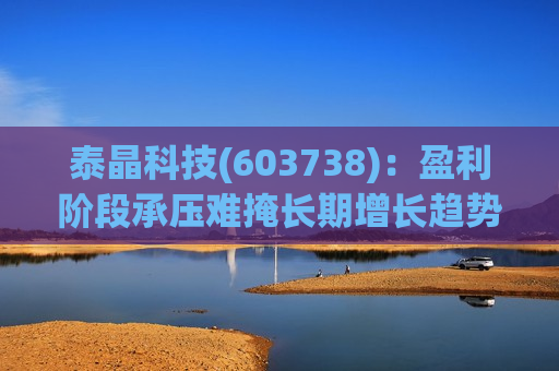 泰晶科技(603738)：盈利阶段承压难掩长期增长趋势 加码车规高附加值产品序列
