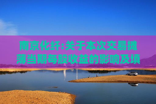 南京化纤:关于本次交易摊薄当期每股收益的影响及填补回报安排的公告(2025-023)