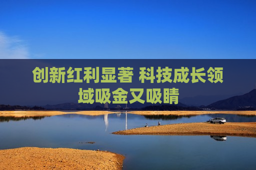 创新红利显著 科技成长领域吸金又吸睛