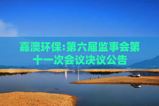 嘉澳环保:第六届监事会第十一次会议决议公告