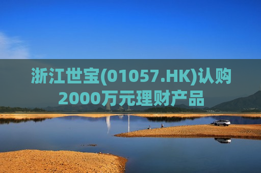 浙江世宝(01057.HK)认购2000万元理财产品