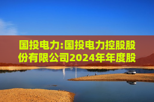 国投电力:国投电力控股股份有限公司2024年年度股东大会会议材料