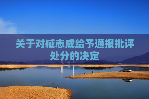 关于对臧志成给予通报批评处分的决定