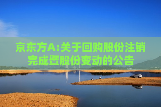 京东方A:关于回购股份注销完成暨股份变动的公告