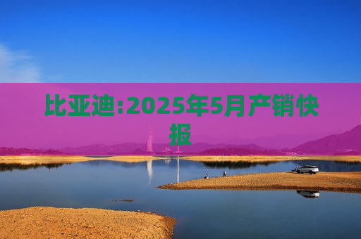 比亚迪:2025年5月产销快报