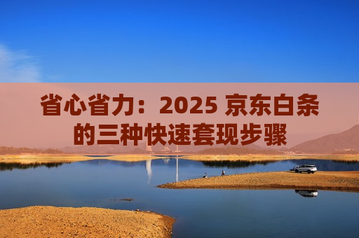 省心省力：2025 京东白条的三种快速套现步骤