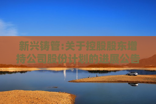 新兴铸管:关于控股股东增持公司股份计划的进展公告