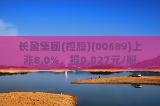 长盈集团(控股)(00689)上涨8.0%，报0.027元/股