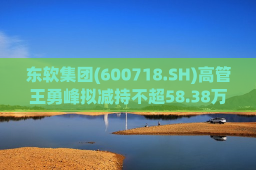 东软集团(600718.SH)高管王勇峰拟减持不超58.38万股