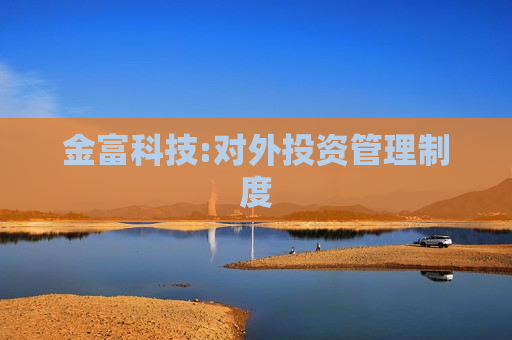 金富科技:对外投资管理制度