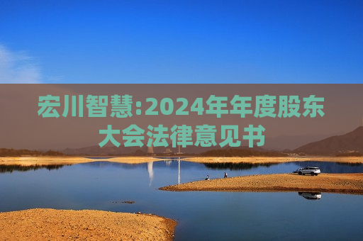 宏川智慧:2024年年度股东大会法律意见书