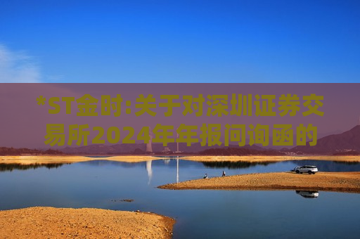*ST金时:关于对深圳证券交易所2024年年报问询函的回复