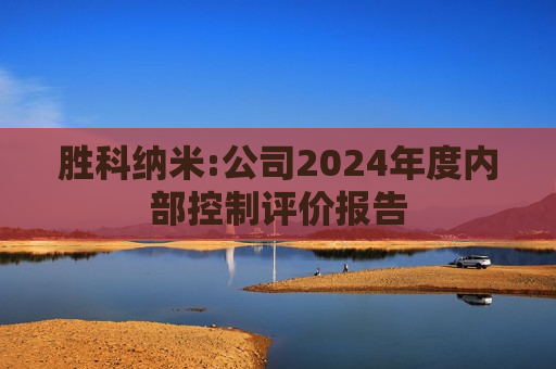 胜科纳米:公司2024年度内部控制评价报告