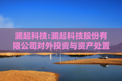 澜起科技:澜起科技股份有限公司对外投资与资产处置管理制度（草案）（H股发行并上市后适用）