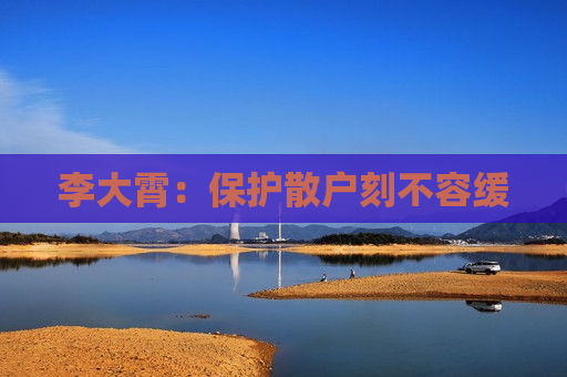 李大霄：保护散户刻不容缓