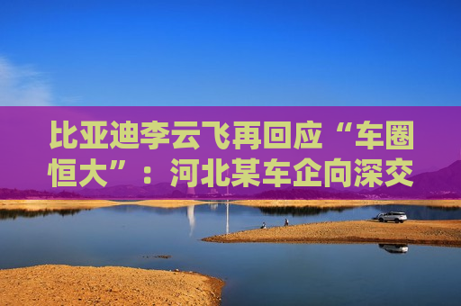 比亚迪李云飞再回应“车圈恒大”：河北某车企向深交所、港交所及监管机构恶意举报比亚迪