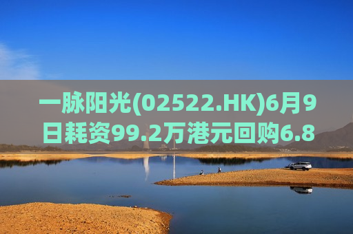一脉阳光(02522.HK)6月9日耗资99.2万港元回购6.85万股