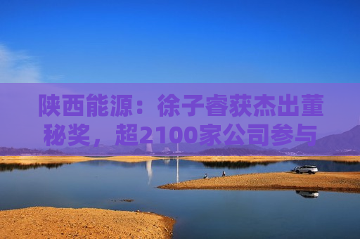 陕西能源：徐子睿获杰出董秘奖，超2100家公司参与评选
