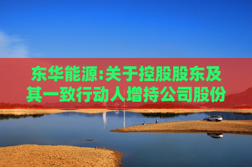 东华能源:关于控股股东及其一致行动人增持公司股份计划实施进展暨增持时间过半的公告