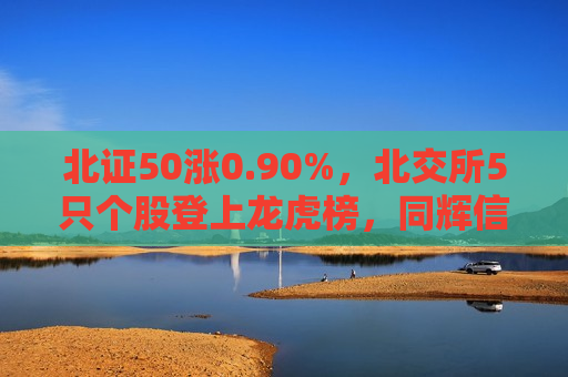 北证50涨0.90%，北交所5只个股登上龙虎榜，同辉信息、中设咨询等在列（附名单）