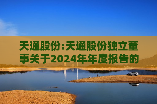 天通股份:天通股份独立董事关于2024年年度报告的信息披露监管问询函所涉事项的独立意见