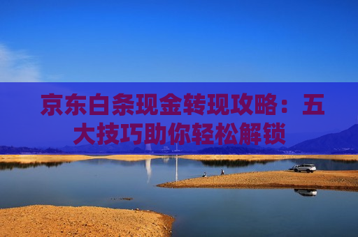  京东白条现金转现攻略：五大技巧助你轻松解锁