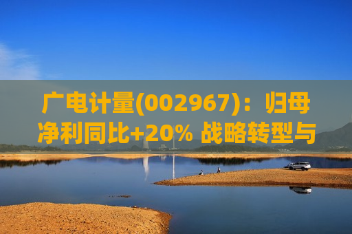 广电计量(002967)：归母净利同比+20% 战略转型与政策拉动共振增长