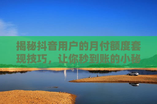 揭秘抖音用户的月付额度套现技巧，让你秒到账的小秘密！