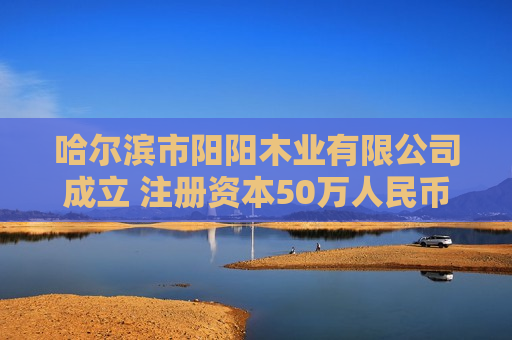 哈尔滨市阳阳木业有限公司成立 注册资本50万人民币