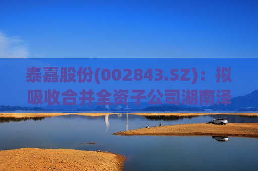 泰嘉股份(002843.SZ)：拟吸收合并全资子公司湖南泽嘉