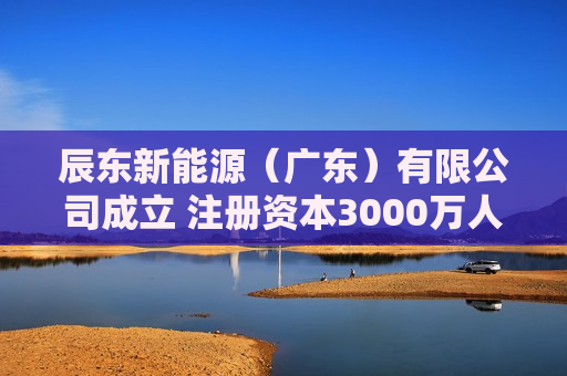 辰东新能源（广东）有限公司成立 注册资本3000万人民币