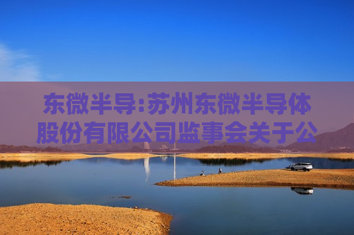 东微半导:苏州东微半导体股份有限公司监事会关于公司2025年限制性股票激励计划（草案）的核查意见