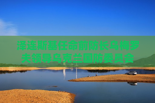 泽连斯基任命前防长乌梅罗夫领导乌克兰国防委员会