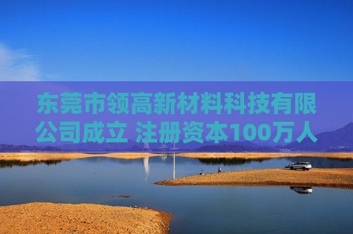东莞市领高新材料科技有限公司成立 注册资本100万人民币