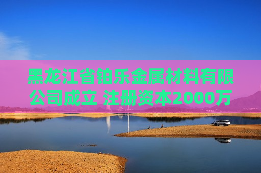 黑龙江省铂乐金属材料有限公司成立 注册资本2000万人民币