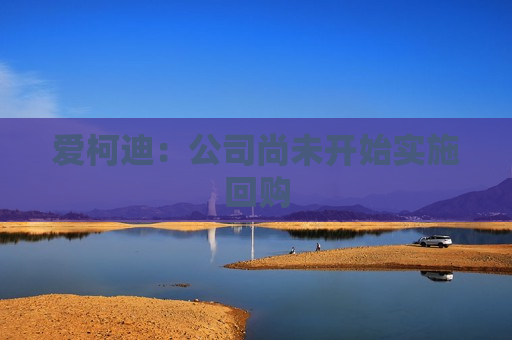 爱柯迪：公司尚未开始实施回购