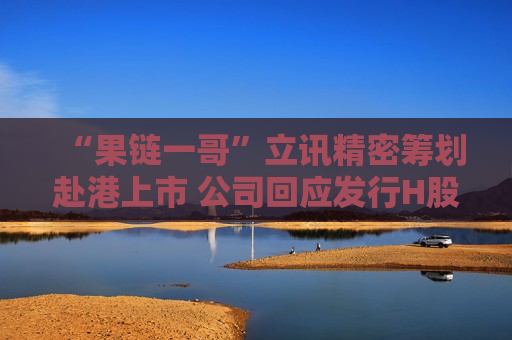 “果链一哥”立讯精密筹划赴港上市 公司回应发行H股有哪些好处