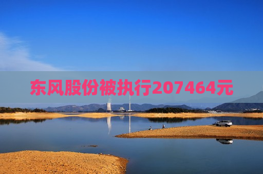 东风股份被执行207464元