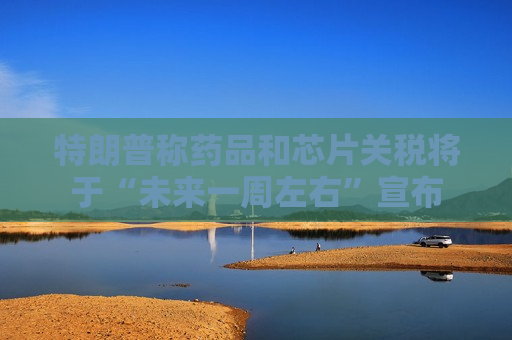 特朗普称药品和芯片关税将于“未来一周左右”宣布
