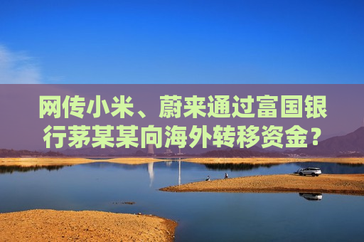 网传小米、蔚来通过富国银行茅某某向海外转移资金？蔚来相关人士：假消息