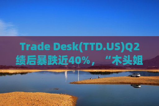 Trade Desk(TTD.US)Q2绩后暴跌近40%，“木头姐”火速抄底超72.5万股