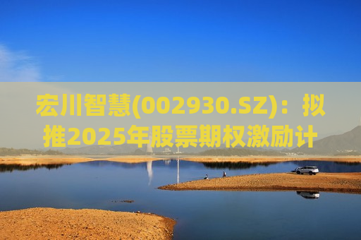 宏川智慧(002930.SZ)：拟推2025年股票期权激励计划
