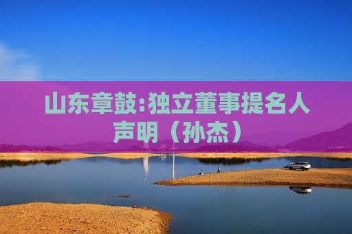 山东章鼓:独立董事提名人声明（孙杰）