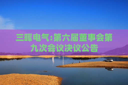 三晖电气:第六届董事会第九次会议决议公告