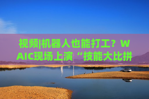 视频|机器人也能打工？WAIC现场上演“技能大比拼”