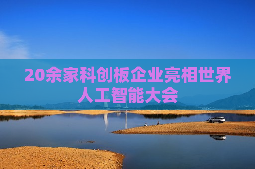 20余家科创板企业亮相世界人工智能大会