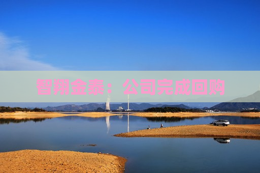 智翔金泰：公司完成回购