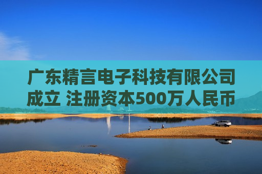 广东精言电子科技有限公司成立 注册资本500万人民币