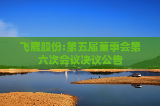 飞鹿股份:第五届董事会第六次会议决议公告