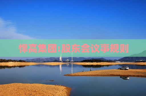 悍高集团:股东会议事规则